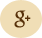 Google + social icon