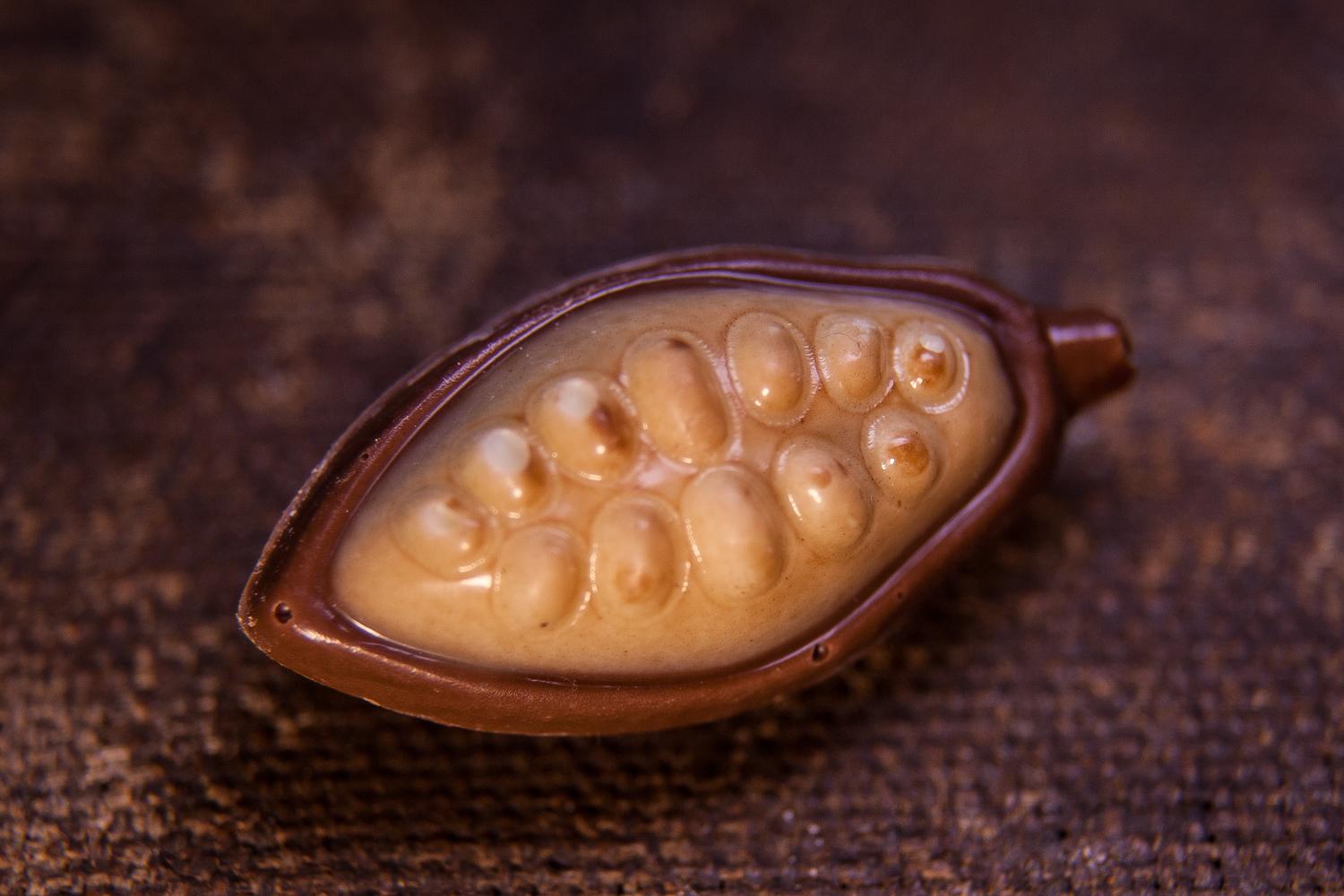 Kakaový bob - mléčná pralinka, vanilkový krém a kakaové boby